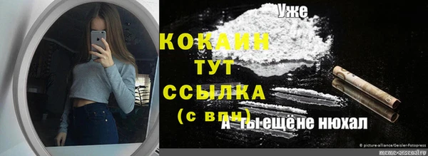 ПСИЛОЦИБИНОВЫЕ ГРИБЫ Абаза