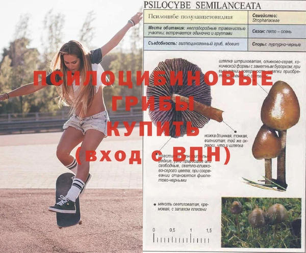 гашишное масло Абинск