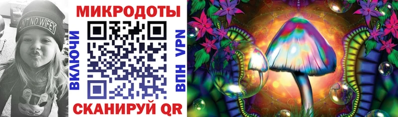 Галлюциногенные грибы Psilocybine cubensis  Юрга 