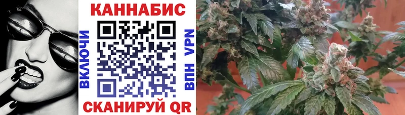 Шишки марихуана MAZAR  купить наркоту  Юрга 